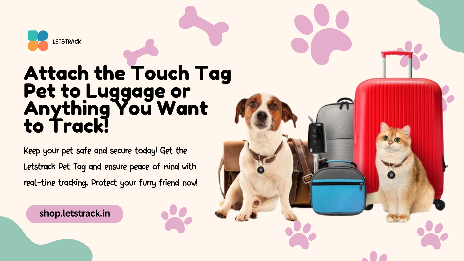 Essential Tips to Keep Your Pet Safe and Prevent Pet Homelessness